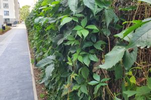 Zrealizowane Odkryty Zakątek